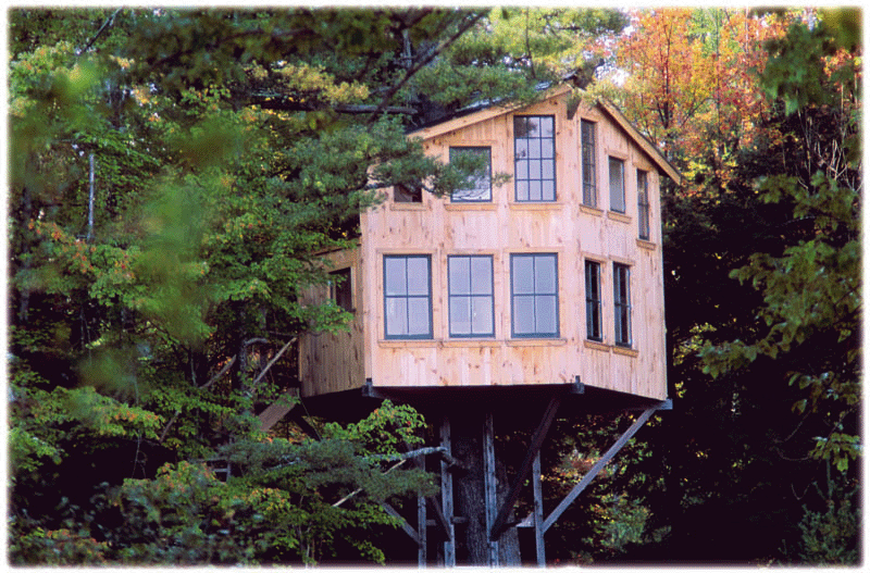 treehouse-fall-04-gif.gif