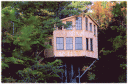 treehouse fall 2004